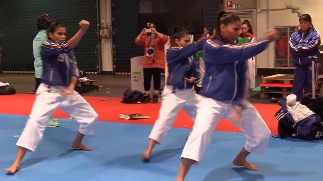 Brazil Team Kata Female warming up before the competition - 2014 World Karate Championships смотреть онлайн