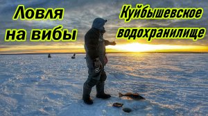 РЫБАЛКА НА ВИБЫ/ЛОВЛЯ СУДАКА И БЕРША НА КУЙБЫШЕВСКОМ ВДХ/ВИБ ЗИМОЙ/ТРОФЕЙНЫЙ БЁРШ/САМАРСКАЯ ОБЛАСТЬ