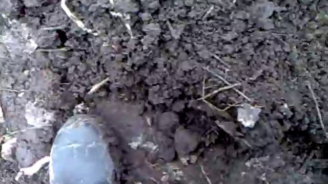 посев лука....как это делаю я... смотреть онлайн