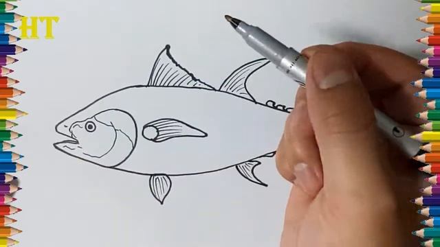 How to draw a Bluefin Tuna step by step - Fish drawing and coloring смотреть онлайн