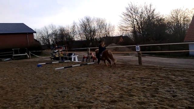 [Team Berwald] Lykke Strunge & Vrinsk - første spring i galop смотреть онлайн