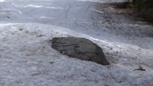 Гора Маура Вологодская область смотреть онлайн