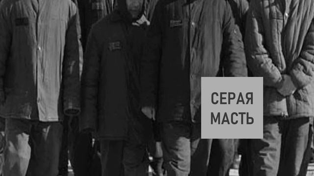 Игральные карты и масти в местах лишения свободы. смотреть онлайн