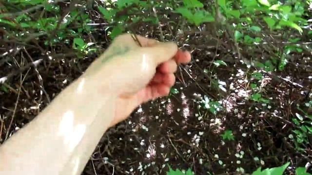 Миниатюра о природе "Птицы" Поделки на тему природы своими руками. смотреть онлайн