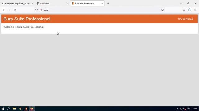 Настройка Burp Suite для работы с браузером смотреть онлайн