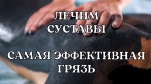 ГРЯЗЕЛЕЧЕБНИЦА ДОМА/ Сакские грязи  для лечения позвоночника и суставов#народнаямедицина