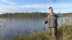 Битва мыши и щуки. Рыбалка в Карелии на ламбушке. Ловля окуней и щук на мышь.