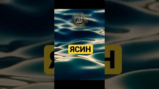 Ясин. Суры из Корана. Коран перед сном. смотреть онлайн