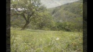 даргинцы.шамиль гаджиев.