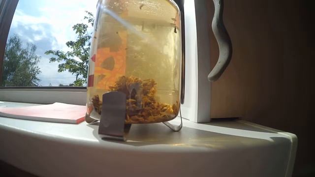 чайный пьяница смотреть онлайн