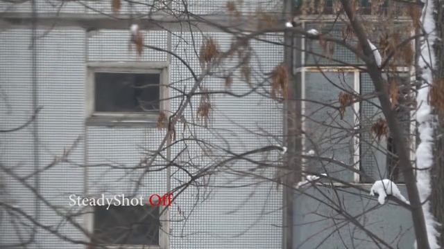 Sony FDR-AX53 Test SteadyShot Bug смотреть онлайн