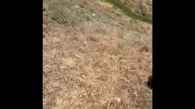 VLOG//ГОРЫ⛰ смотреть онлайн