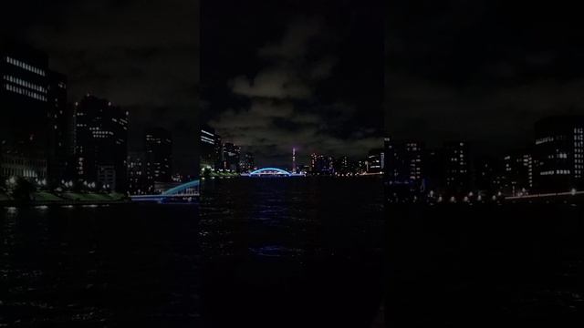 Россия Китай Корея Япония поезд паром электричка автобус 2024. 5 часть