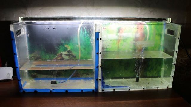 Обзор аквариумов 4К. Итоги месяца (Июнь 2021) смотреть онлайн