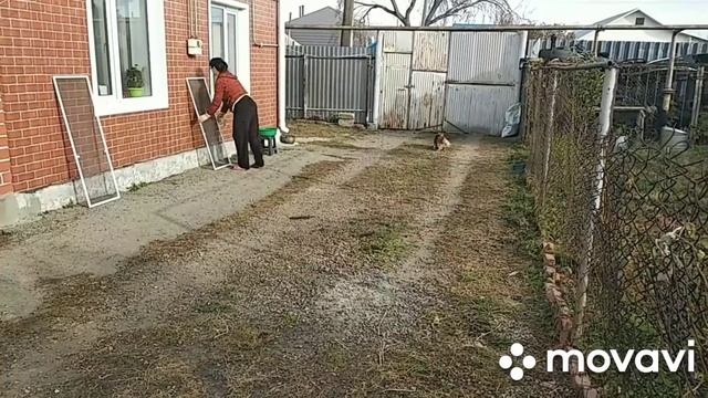 Моем окна,зеркала без разводов.