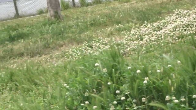 ALANYA 30 апреля Четверг Новости и Погода в Аланье Турция