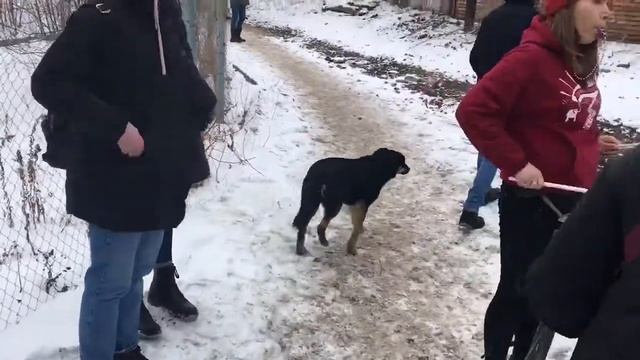 Дело "Сети". Приговор в Пензе. Поддержка самба-бэнд смотреть онлайн