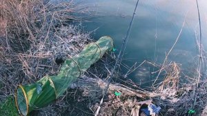 Ловим рыбу в Садках Приморско Ахтарск 17.03.2024.