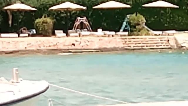 Пляж отеля Санд Бич, Хургада, Египет - входная плата за день для посторонних - 15 егифунтов смотреть онлайн