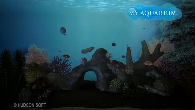 ZombieLover23's Aquarium (PSN game) My Aquarium (Nightime) смотреть онлайн