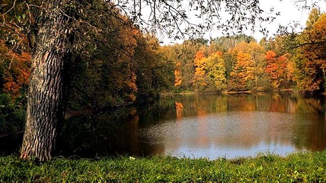 Тургенев смотреть онлайн