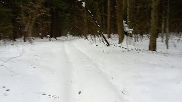 весенняя прогулка по снегу... смотреть онлайн