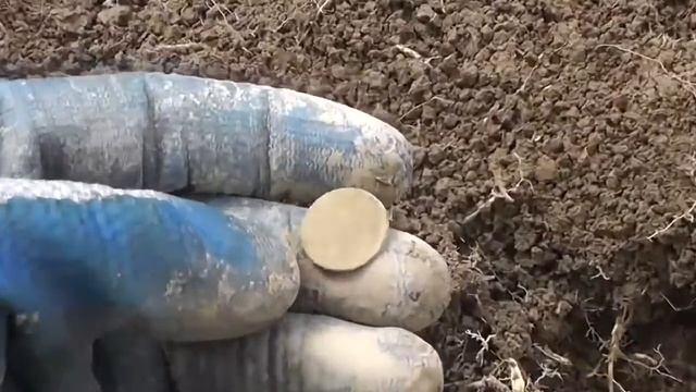 Поиск монет с катушкой DETECH Ultimate 13