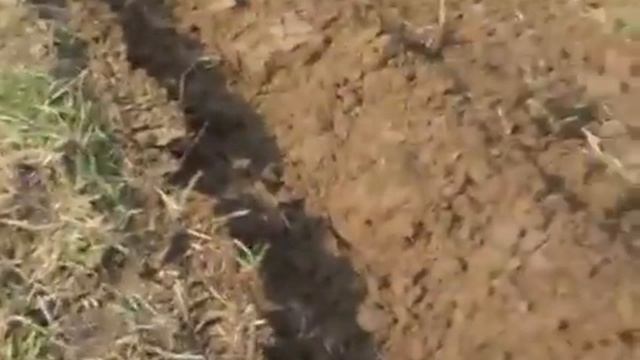 Минитрактор от Ал др74, проба плуга смотреть онлайн