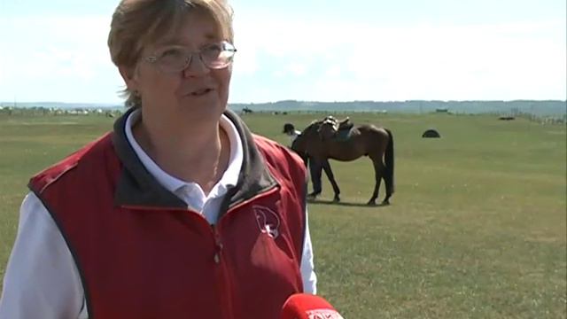 Адаптивный спорт в фонде Тихомировых смотреть онлайн