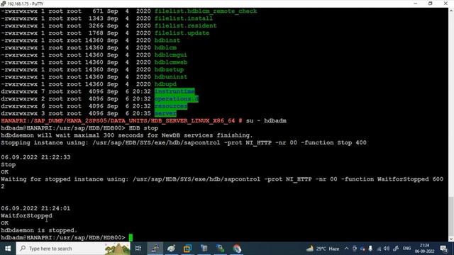 HANA Revision Upgrade смотреть онлайн