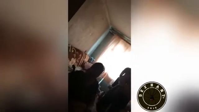 Уничтожение тараканов / Давай трави! смотреть онлайн
