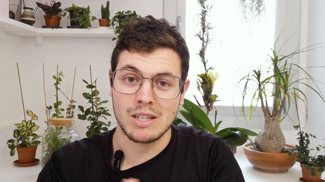 9 PLANTAS SEGURAS para MASCOTAS 😄 смотреть онлайн