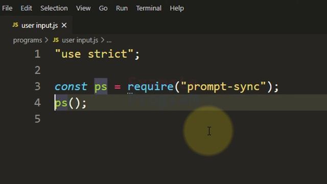 How to take User Input using Prompt Sync in JavaScript Node JS смотреть онлайн