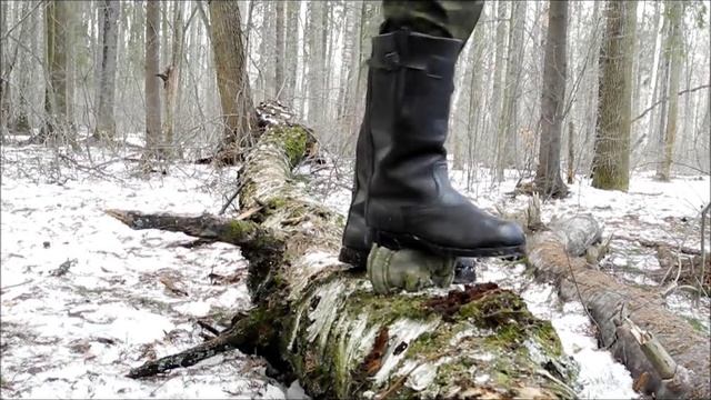 Яловые сапоги древесные грибы / Jackboots Wood fungi смотреть онлайн