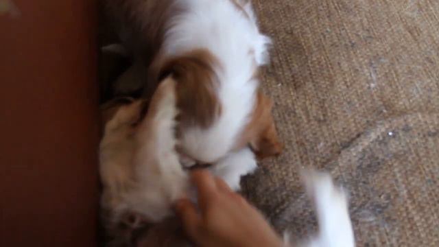 Детский сад - группа ясельки. смотреть онлайн