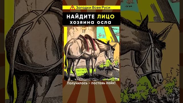 Сможешь найти хозяина осла? Оптическая иллюзия #shorts смотреть онлайн