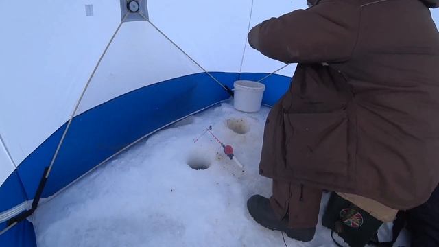 Рыбалка в глухозимье. Бешенный клёв плотвы в феврале!!! смотреть онлайн
