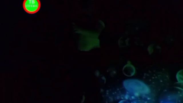 (Низкое качество) Заставка Новости Сегежи (2023-н.в.) смотреть онлайн