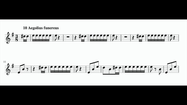 A. Bova, Birds no 10, Aegolius funereus, for tenor recorder смотреть онлайн