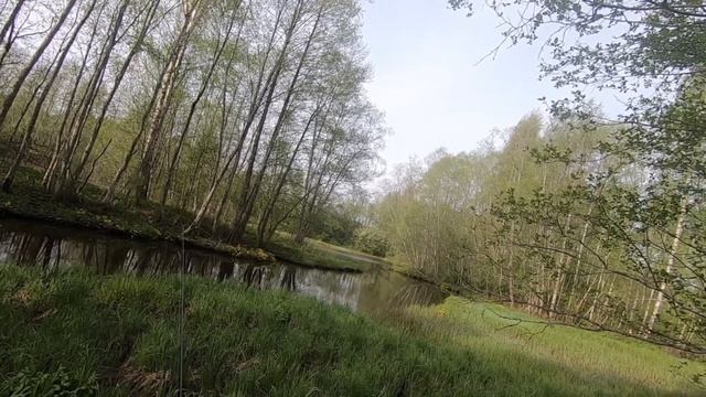 MUSTJÕGI: РЫБАЛКА НА ЧЕРНОЙ РЕЧКЕ