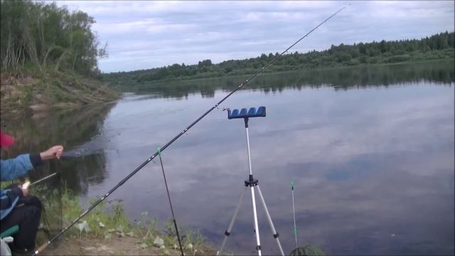 Рыбалка на Фидер 12 13 августа подьяз голавль на быстром течении смотреть онлайн