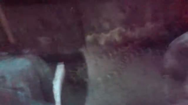 Посещение. Зоопарка смотреть онлайн