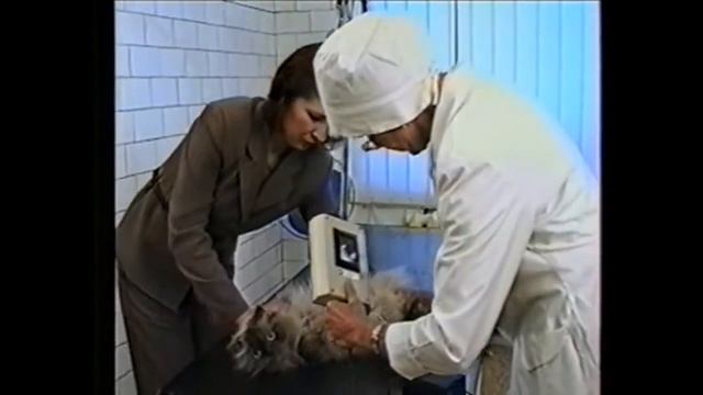 Лампа Вуда «Сапфир 2В» смотреть онлайн