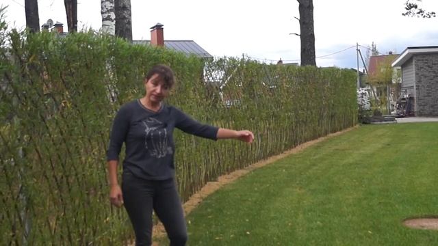 Русская ива. Видео-обзор. Живая плетеная изгородь из ивы. Первый год. смотреть онлайн