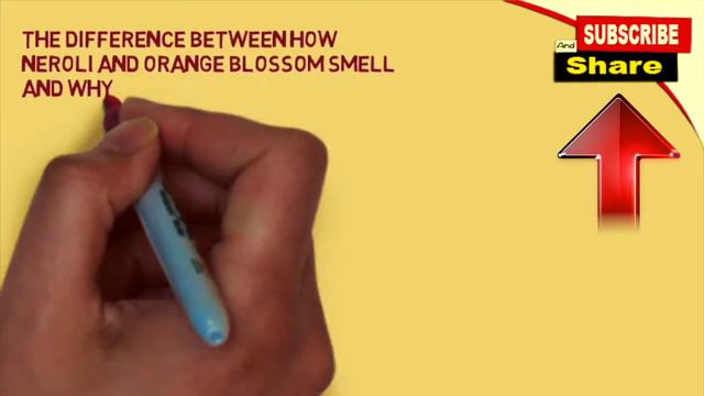 Perfume ingredients Neroli oil смотреть онлайн
