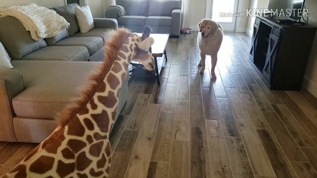 Dog and Baby React to GIANT GIRAFFE / Then baby has an encounter with Real Giraffes смотреть онлайн