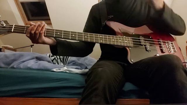 Favourite Worst Nightmare - Arctic Monkeys (Bass Cover) смотреть онлайн