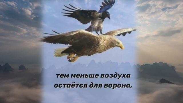 Стремись ввысь - мудрость орла - чтец - Елена Сальникова смотреть онлайн