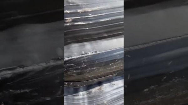 Глобал Драйв / Global Drive отзыв о бронировании дна