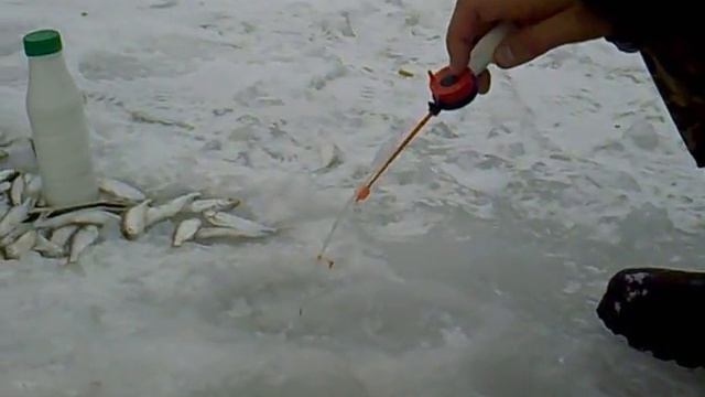 Яченка. Верхоплавка. 17 03 2013 смотреть онлайн